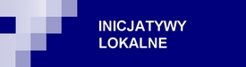 Inicatywy lokalne Inicatywy lokalne